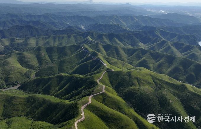 초대형 산불 이후, 함께 이겨낸 1년 안동시, 일상 회복 위에 새로운 미래를 그리다