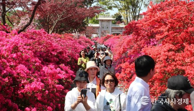 올 봄 강진반값여행으로 즐기는 이색 데이트 코스