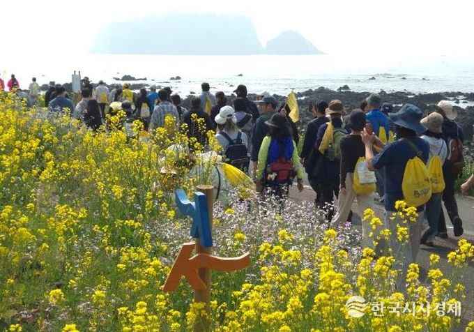 제28회 서귀포 유채꽃 국제걷기대회