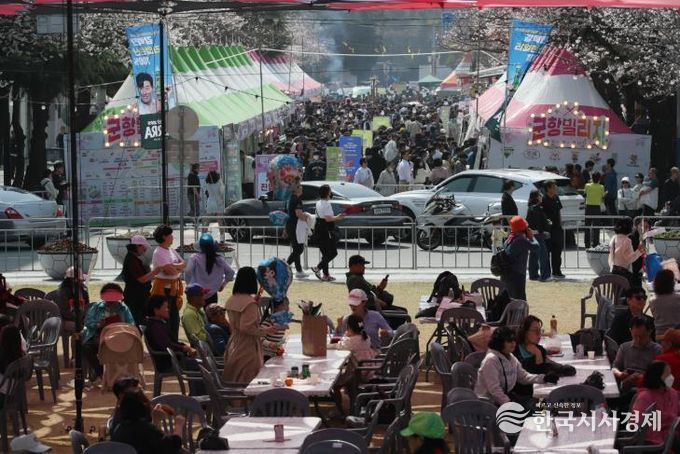 주말 진해군항제, 벚꽃 만개 아래 역대급 인파 기록