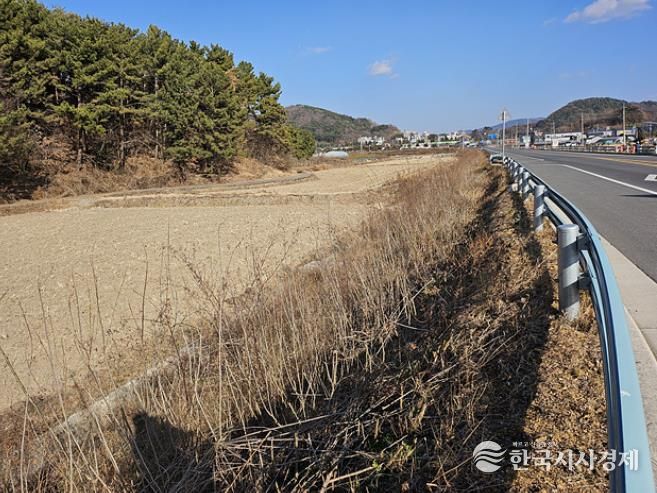 해룡면 남가리 월전2교차로부터 남가교까지 약 1km 구간에 배롱나무 식재