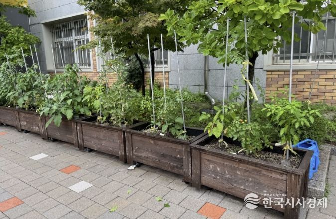 수원시 장안구, 초등학교 대상 새싹텃밭 조성 지원