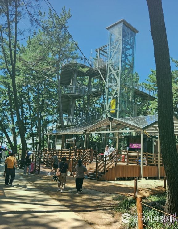 서천군, 장항스카이워크 운영시간 연장