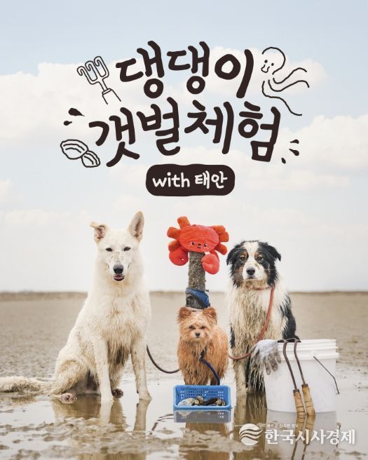 2026년 사업홍보물