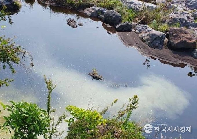 농번기 대비 공공수역 수질오염 예방 특별 점검