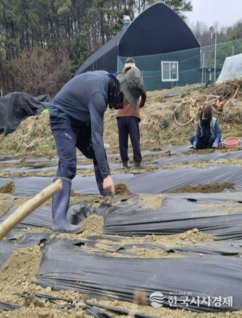 고양시 주교동, 감자로 마음 잇는 ‘감자 심기 행사’ 진행
