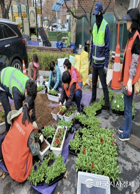 고양시 풍산동, 봄맞이 초화 식재