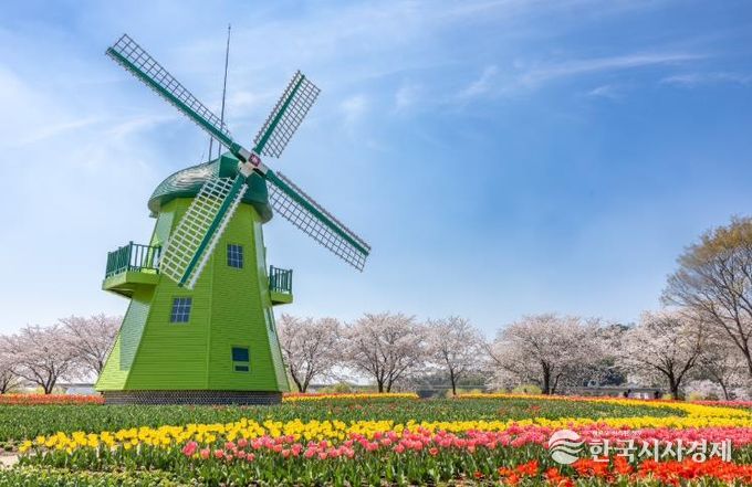 순천만국가정원 네덜란드정원