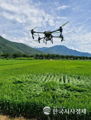 정선군, 379ha 규모 드론 방제 시범사업 추진