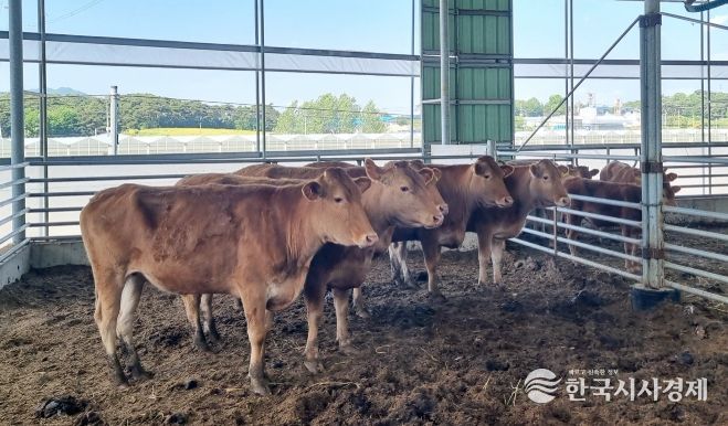 여름철 재해 대비 축사 시설 선제 점검