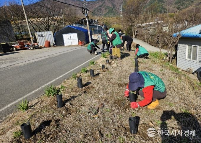 밀양시새마을회와 산내면 동명마을 주민들이 탄소중립 실천을 위해 묘목을 심고 있다