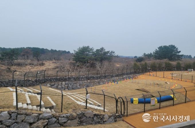 반려동물 놀이공원