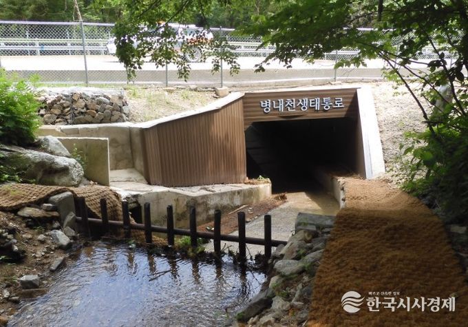 오대산 병내천 생태통로