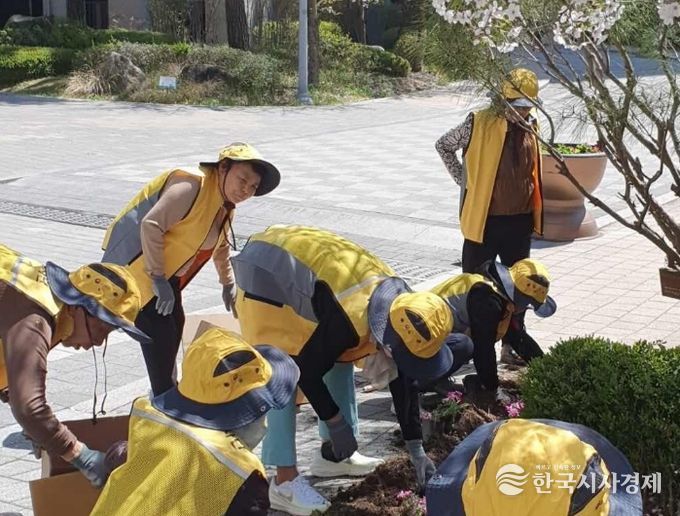 세종시, 꽃밭에 키우는 이웃간 아름다운 온정
