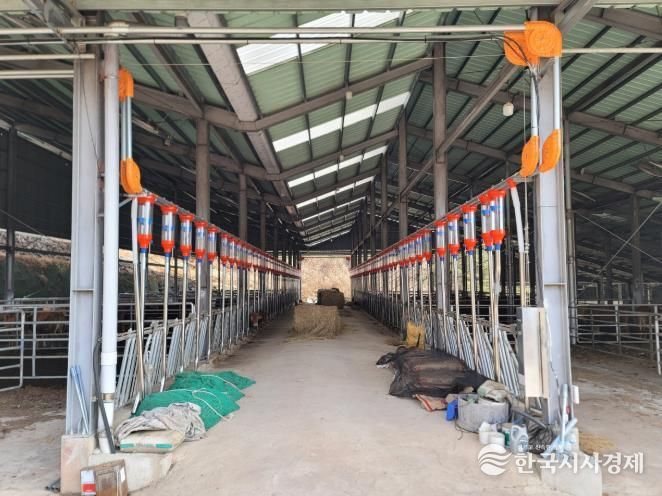 진주시, 기후 위기시대 ‘축산업’ 새로운 미래 개척 - 자동화 사료급이시스템 설치 전경