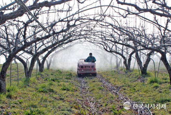 정읍시, 과수화상병 유입 차단 ‘총력’