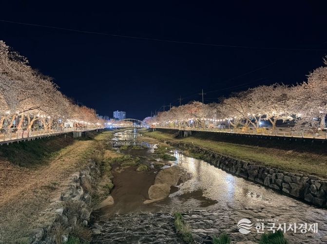 금산군 금산천 야경
