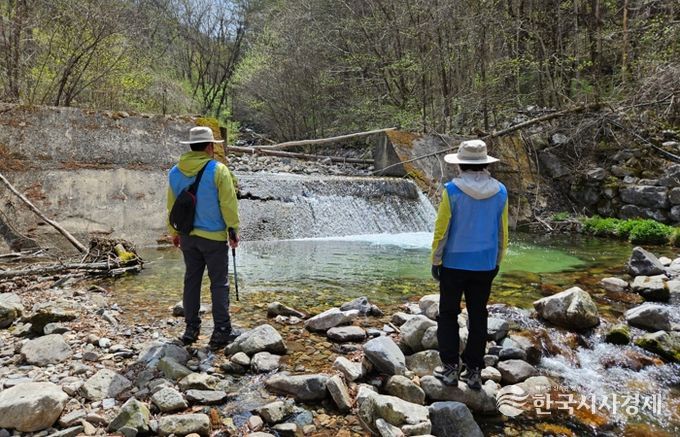 “어르신 손길로 지킨 자연” 태백시니어클럽, 환경부 장관표창 수상