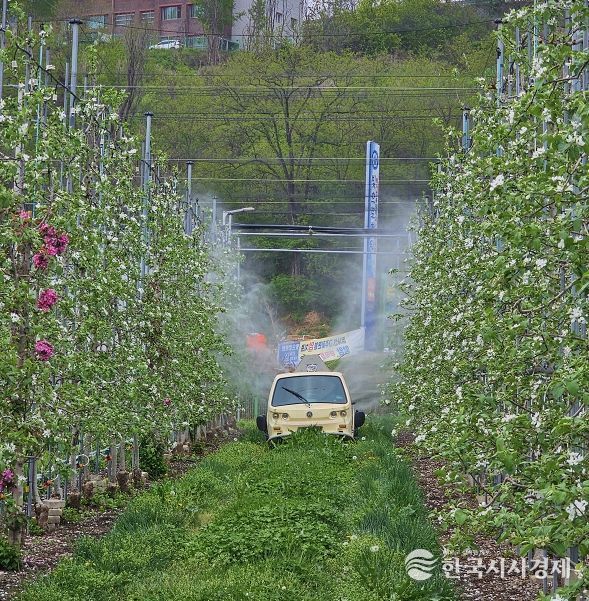 안동시, 과수화상병 ‘개화기 적기 방제’ 총력