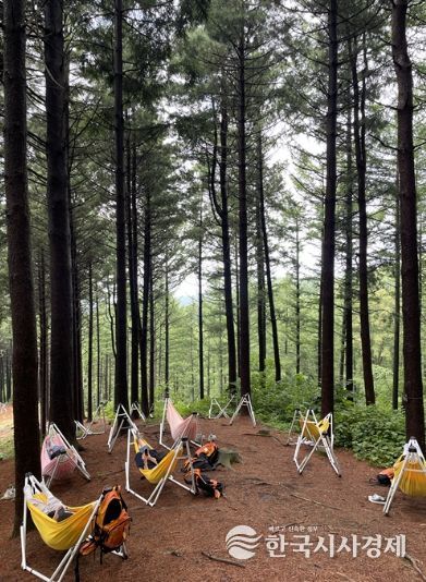 국립횡성숲체원 힐링타임 프로그램 참가자들이 해먹 체험을 하고 있다. 한국산림복지진흥원 국립횡성숲체원 제공