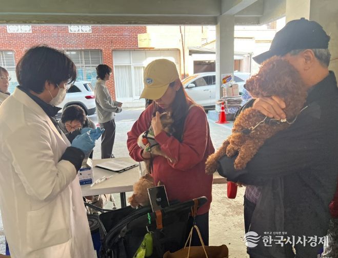 2026년 상반기 반려동물 광견병 무료 예방접종