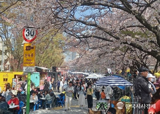벚꽃 아래 시민 웃음꽃…‘2026 안양충훈벚꽃축제’ 성황리 폐막