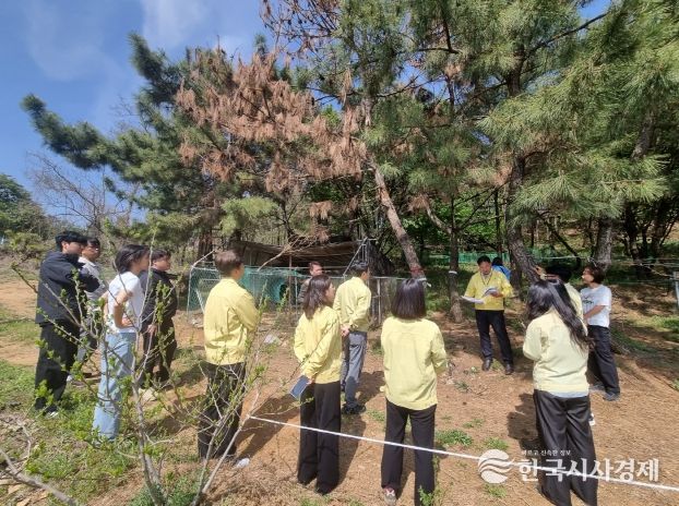 시흥시 첫 소나무재선충병 발생